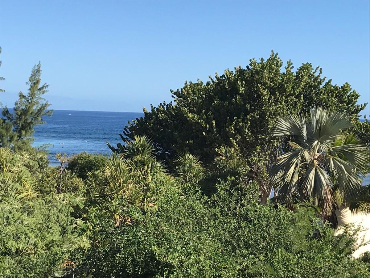 Ocean Garden Appartement La Saline Le Bains Buitenkant foto