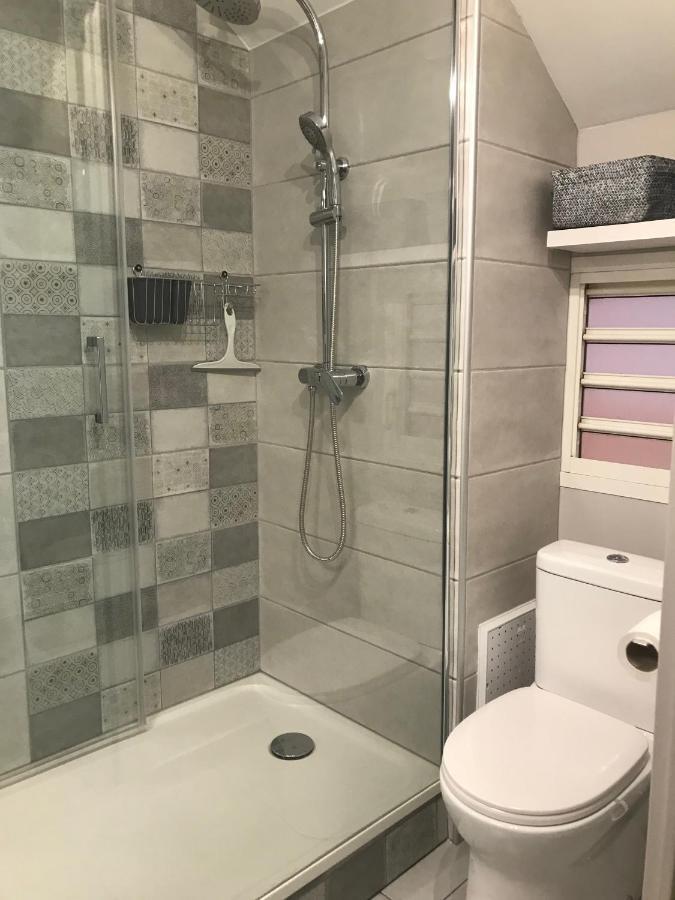 Ocean Garden Appartement La Saline Le Bains Buitenkant foto
